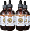 Hawaii Pharm Grape Liquid Extract Grape (Vitis Vinifera) Seed Tincture Supplement 4x4 oz