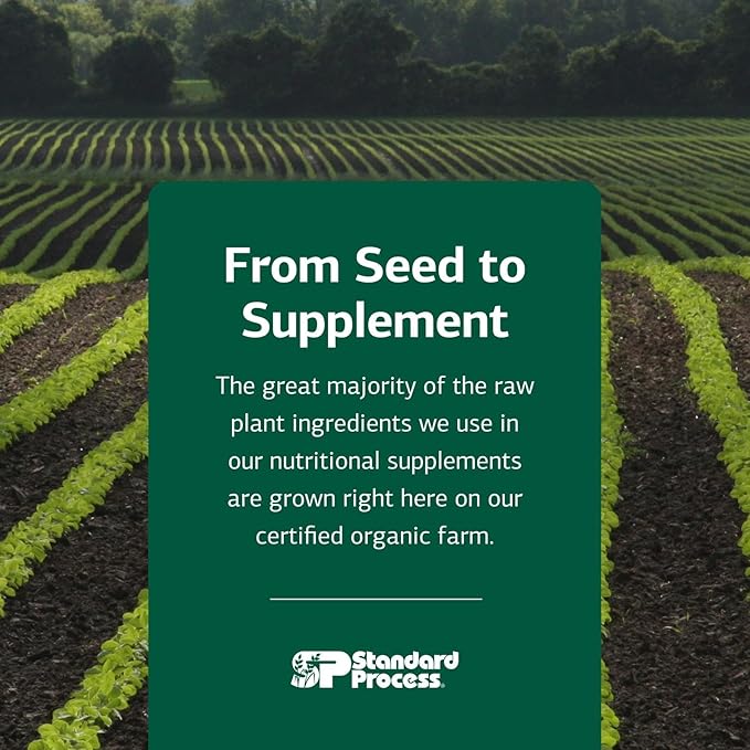 Standard Process Zypan - Digestive Health Support Supplement - HCI Supplement with Pancreatin Betaine Hydrochloride &amp Pepsin - Support Macronutrient Digestion - 90 Tablets