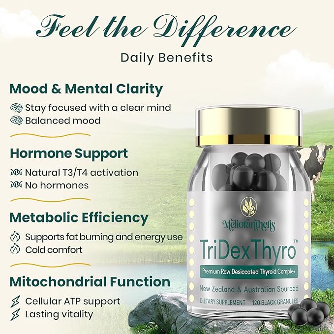 Thyroid Supplement – TriDexThyro™ Raw Desiccated Thyroid Complex 375 mg with Bovine Porcine &amp Ovine –120 Capsules for Women and Men（2 Pack）