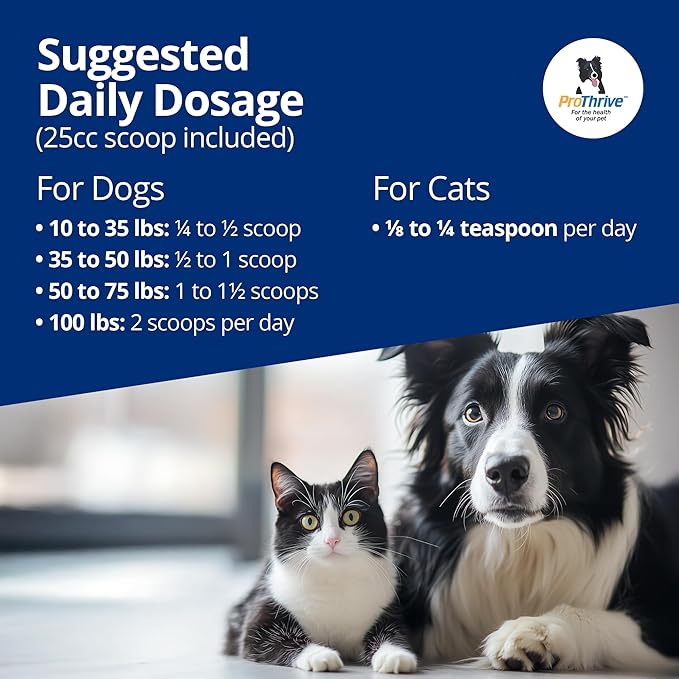 Spunky Digestive Supplement - Probiotics Digestive Enzymes Joint Support for Cats and Dogs | Gut Health | Pet Probiotics for Dogs and Cats - 3lb