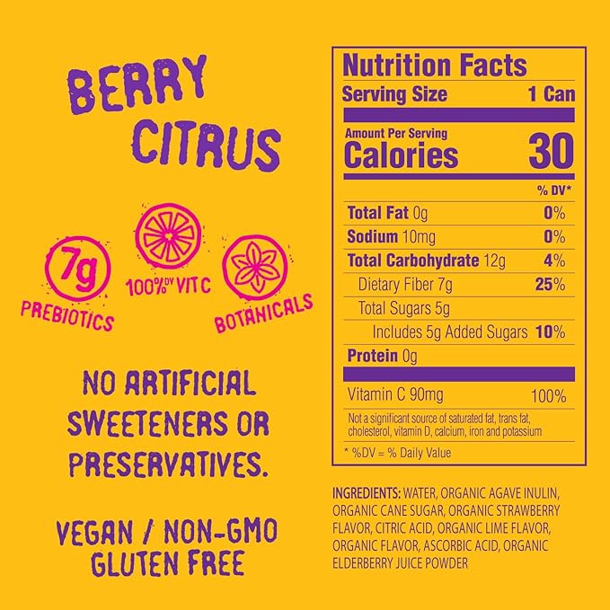 Daytrip Soda Prebiotic Berry Citrus 12 fl oz (Pack of 12)