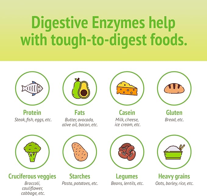 Smidge® Digestive Enzymes – Comfy Digestion – Lipase &amp Protease – 120 Capsules