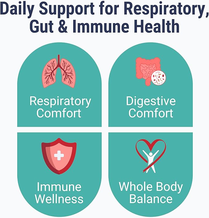 SHIZAM Slippery Elm Mullein Leaf Marshmallow Root Licorice Root Astragalus Root Elderberry &amp Probiotic Bacillus Coagulans Gummies – Sugar-Free Keto-Friendly Vegan - Gymnema Sylvestre