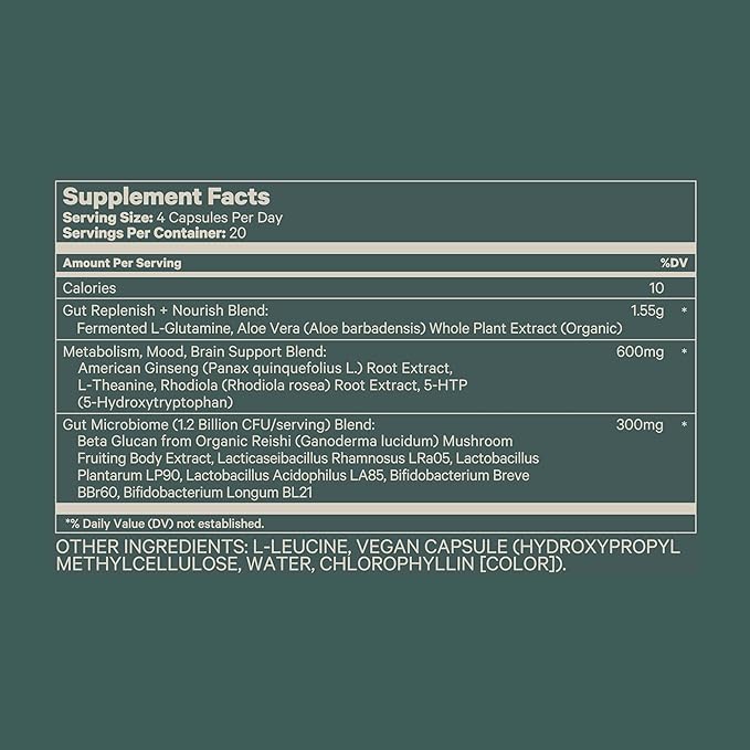 Juna Gut Therapy – L-Glutamine Amino Acids &amp Probiotics for Gut-Brain Support – Helps Mood Focus &amp Mental Clarity – Dual-Action Probiotics Support Microbiome Balance – With Clinically Studied