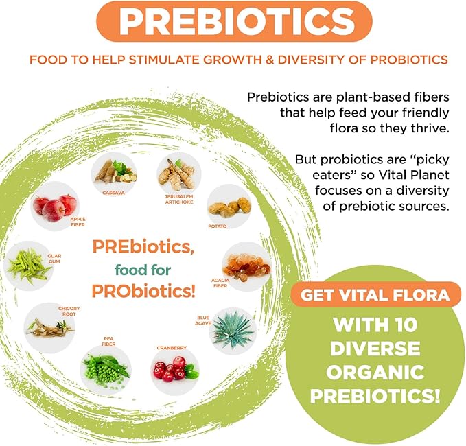 Vital Planet - Vital Flora Advanced Biome Probiotic 100 Billion CFU 100 Diverse Strains 10 Organic Prebiotics Immune Support Colon and Digestive Health Probiotics for Women and Men 30 Capsules