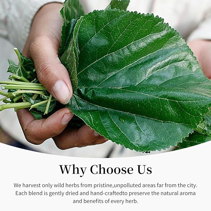 Baihuatang Natural Dried Mulberry Leaf 200g/7.05oz Premium Mulberry Leaves (桑叶茶) Sun-Dried Sugar-Free Caffeine-Free No Additive
