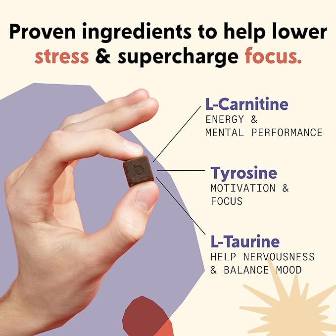 PYM Mood &amp Focus Chews Variety Pack 60 Count | Berry &amp Citrus Mood Chews + Attention Chews | GABA L-Theanine L-Carnitine | Vegan Non-GMO Caffeine-Free