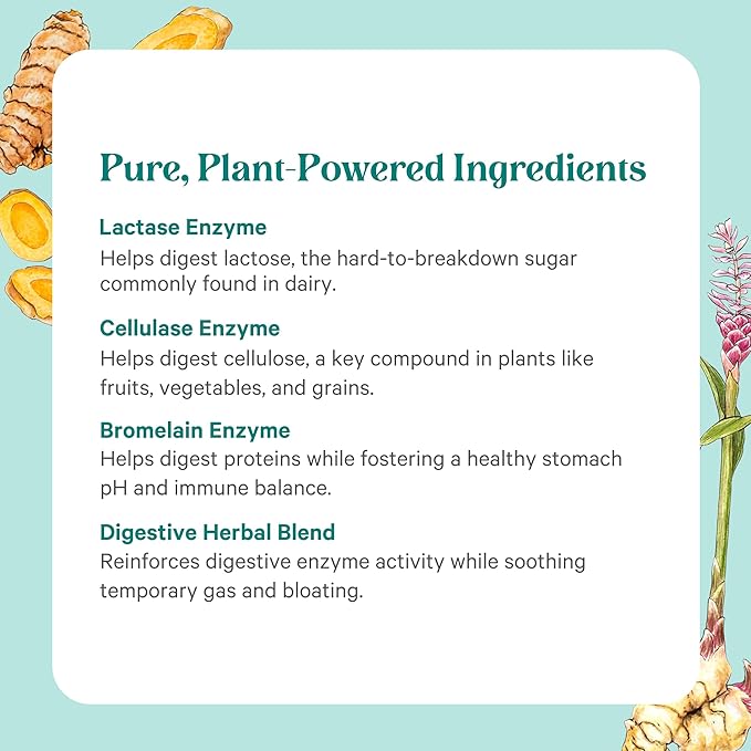PURE SYNERGY Enzyme Power | Digestive Enzyme Supplement | Digestive Health Enzymes with Nattokinase Bromelain and Serrapeptase | for Digestive and Gut Health (90 Capsules)