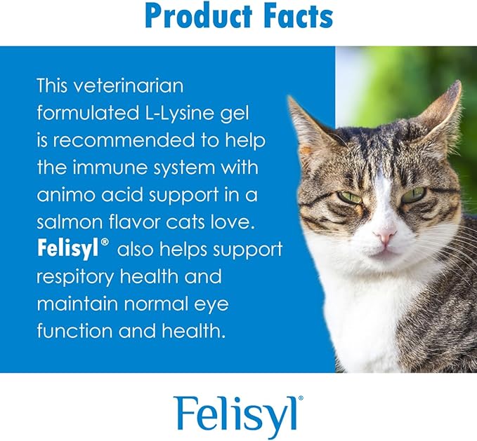 L-Lysine Soft Chews for Cats (60 Soft Chews) – Supports Immune Respiratory and Eye Health. Eases Sneezing Runny Nose and Watery Eyes. Tasty Salmon Flavor - (3 Pack)