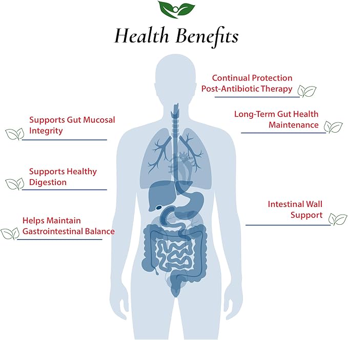 Foods For Gut Saccharomyces Boulardii Probiotic Powder 20 Billion cfu's | No Additives | Digestive &amp Immune Support | High Potency | S. Boulardii | 100 Gram (3.52 Oz)