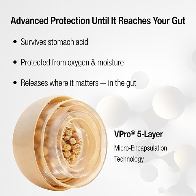 Akkermansia Probiotic – Supports Digestion &amp Gut Health Multi-Strain Probiotic with Prebiotics 20 Billion CFU Advanced Delayed Release CapsulesVegan