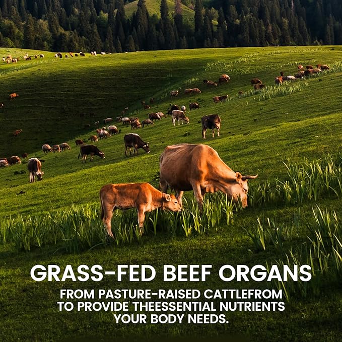 Forgebody Beef Organ Complex Supplement 120 Capsules Grass Fed Beef Liver Capsules Immune Support Gluten Free Non-GMO (1)