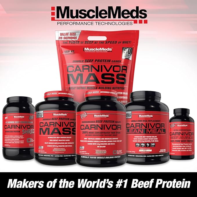 MuscleMeds Amino DECANATE Energy Pre Intra Workout Drink Essential Amino Acids BCAAs High Leucine Glutamine Muscle Recovery Strawberry Kiwi 30 Servings