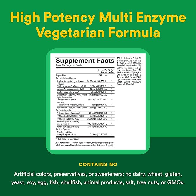 Natural Factors High Potency Multi Enzyme Vegetarian Formula Plant-Based Digestive Aid 120 Capsules