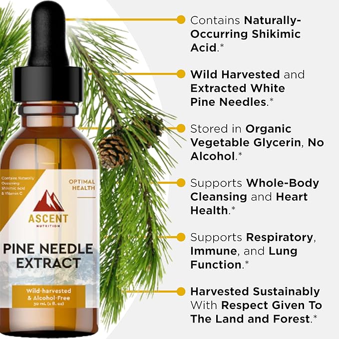Ascent Nutrition Pine Needle Extract | Contains Naturally Occurring Shikimic Acid &amp Vitamin C | Wild-Harvested &amp Alcohol-Free | 30ml