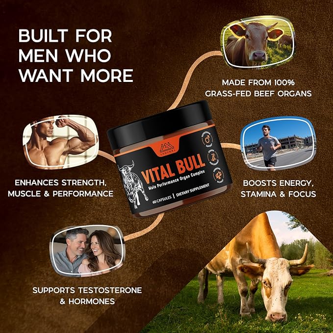 Vital Bull Beef Organ Supplement for Men with Grass Fed Liver Testicle Prostate &amp Bone Marrow – Freeze Dried Beef Organ Capsules for Nutrient Support – 30 Day Supply