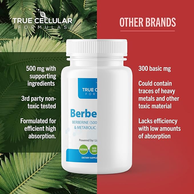 BerberBurn+: Berberine Supplement Magnesium &amp Chromium Capsules for Daily Wellness &amp Energy Boost Vitality and Maintain Balance Essential Nutrients for Health 60 Count