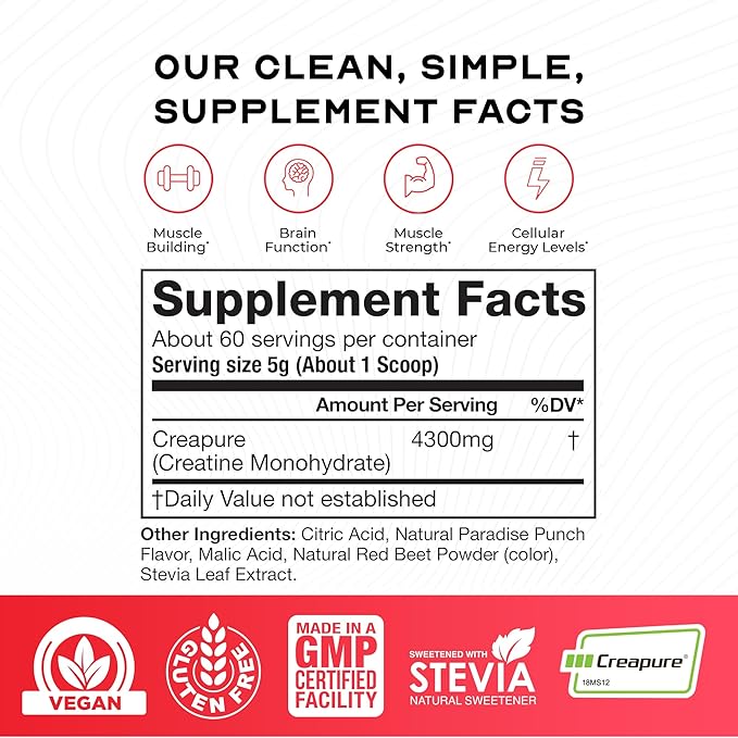 Muscle Feast Creapure Creatine Monohydrate Powder Vegan Keto Friendly Gluten-Free Easy to Mix Muscle Recovery Supplement Creatine for Muscle Growth Flavored Creatine Natural Fruit Punch 300g