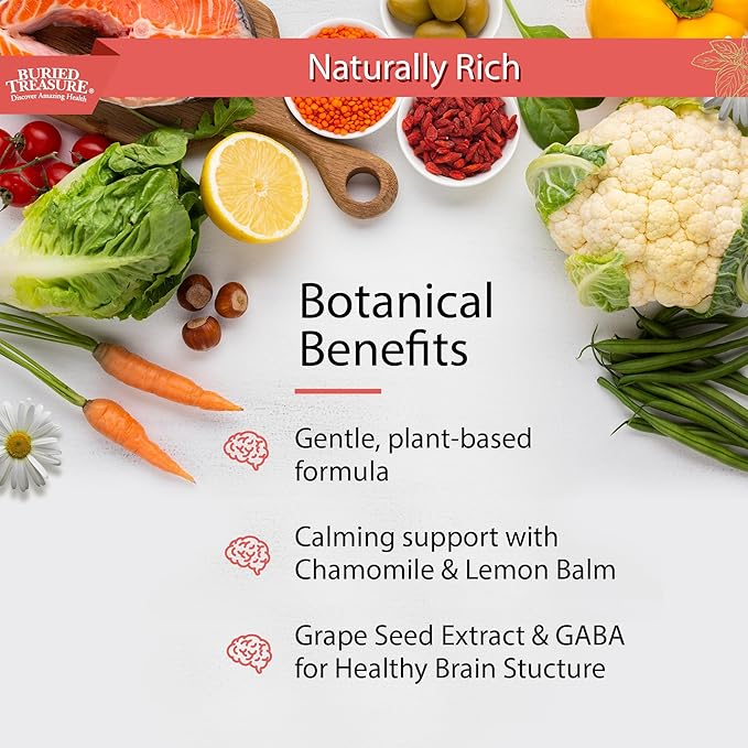 Buried Treasure - Added Attention - Children's Learning Support with GABA DHA Vitamin B and Herbal Blend - Aid Healthy Brain Functions - Improved Short-Term Auditory Memory Focus &amp Behavior 16.54