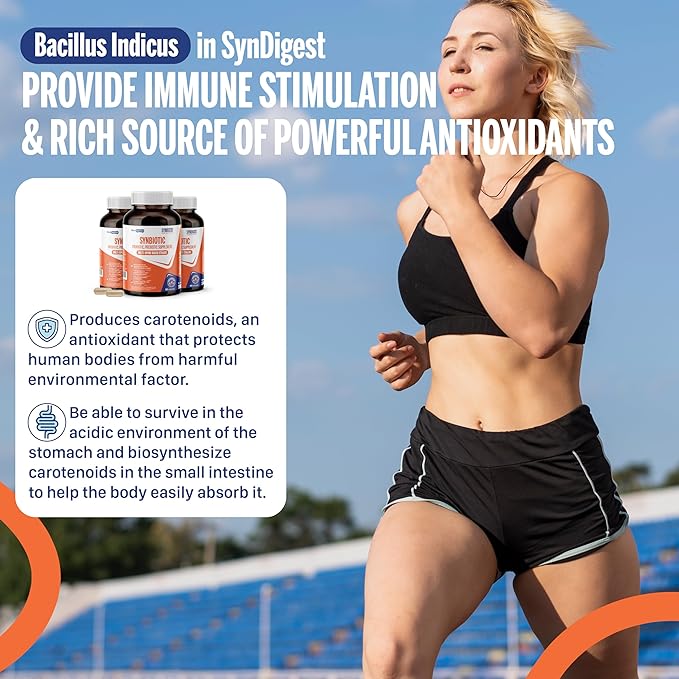 Syndigest probiotic daily care for women &amp men with dual benefit of 5 probiotic &amp prebiotic strains balance gut health &amp relieves constipation travel friendly 60 capsules (2 billions CF