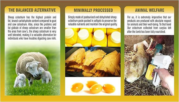 PHARMAKON Organic Sheep Colostrum Supplement
