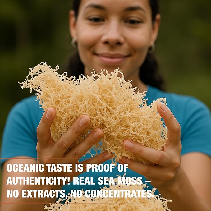 Biolore Wildcrafted Sea Moss Gel - Mango Pineapple 16 oz - Flavored Sea Moss Gel with Essential Vitamins &amp Trace Minerals - Vegan Superfood - Made in USA Gluten-Free No Added Sugar