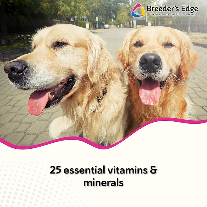 Breeder’s Edge Breed to Wean Prenatal and Postnatal Multivitamin for Dogs &amp Cats Supports Pregnant &amp Nursing Moms Supplement Provides Antioxidants Vitamins &amp Minerals 100ct for Medium