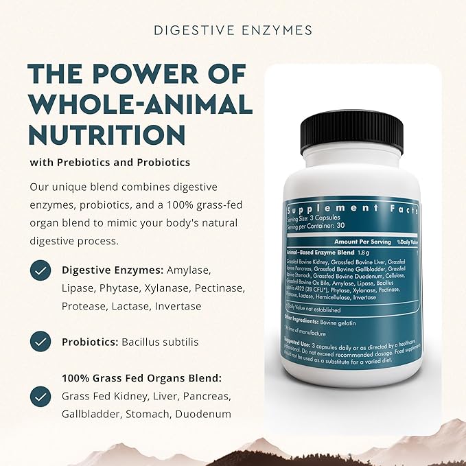 Ancestral Supplements Digestive Enzymes for Women &amp Men 90 Capsules with Probiotics and Grass Fed Beef Organs Supports Gut Health Digestive Health &amp Nutrient Absorption Allergen Free Non
