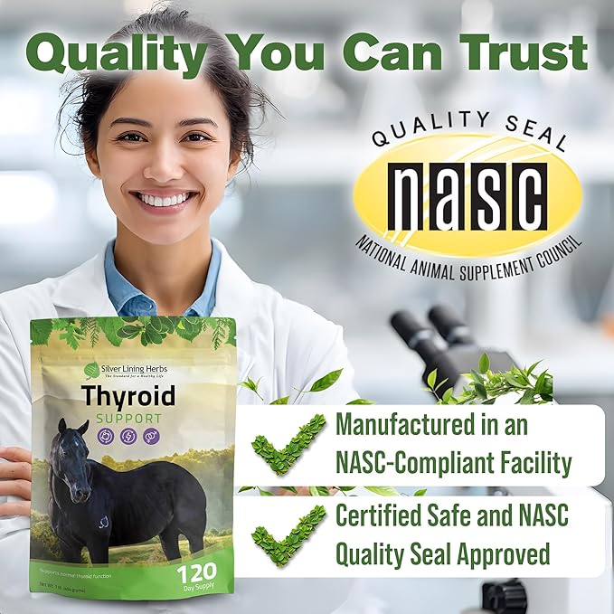 Silver Lining Herbs Thyroid Support for Horses – Herbal Horse Supplement for Normal Thyroid Function Hormone Balance &amp Healthy Metabolism with Irish Moss Kelp Parsley – 120-Day Supply