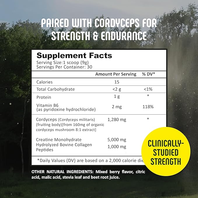 Creatine Monohydrate with Cordyceps &amp Hydrolyzed Collagen – Clean Energy &amp Performance Support – Daily Supplement – Made in USA – 9.5 oz