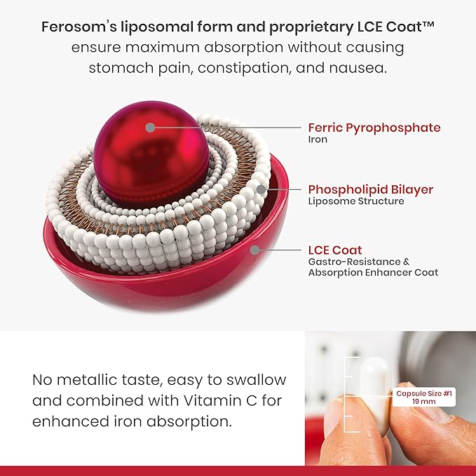 LCE Liposomal Iron Capsules – 30mg Elemental Iron with Vitamin C – Gentle Supplement for Women and Men – Easy-to-Swallow Vegan Capsules 30 Count