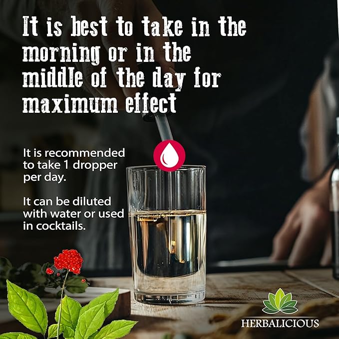 Red Korean Panax Ginseng Liquid Drops with L-Tryptophan Ashwagandha &amp Ginkgo – Herbal Adaptogen Blend for Daily Wellness – Alcohol Free Liquid Supplement – 4 fl oz (120 mL)