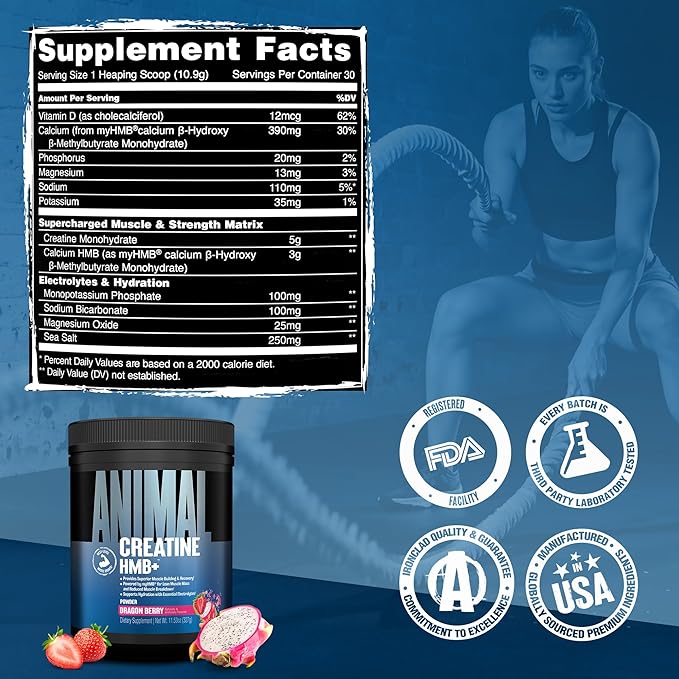 Animal Creatine HMB Powder – 3g myHMB + 5g Creatine with Electrolytes for Recovery &amp Daily Energy – Dragon Berry Flavor 30 Servings