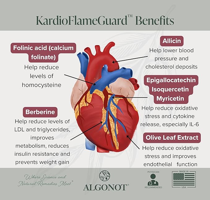 Algonot KardioFlameGuard – Heart Health Supplement Cardiovascular Support with Allicin Folinic Acid Isoquercetin Berberine – 60 Capsules