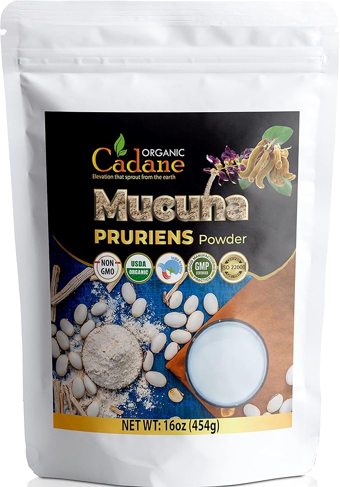 Organic Cadane Mucuna Pruriens Powder 1 Pound | Promotes Brain Health Supports Immune System Energy | USDA Certified Vegan-Friendly Supplements | Pure Natural Velvet Beans Extract from India