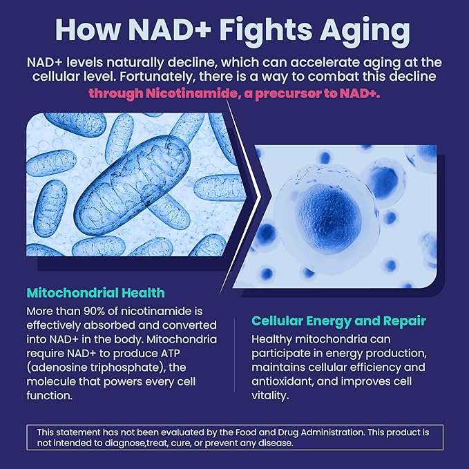 NEVISS Nicotinamide 500mg Gummies Niacinamide Supplement with Collagen Peptides (Flush Free Niacin) Vitamin B3 Niacinamide for Anti-Aging NAD+ Levels Longevity Focus &amp Brain Sugar Free 60Ct