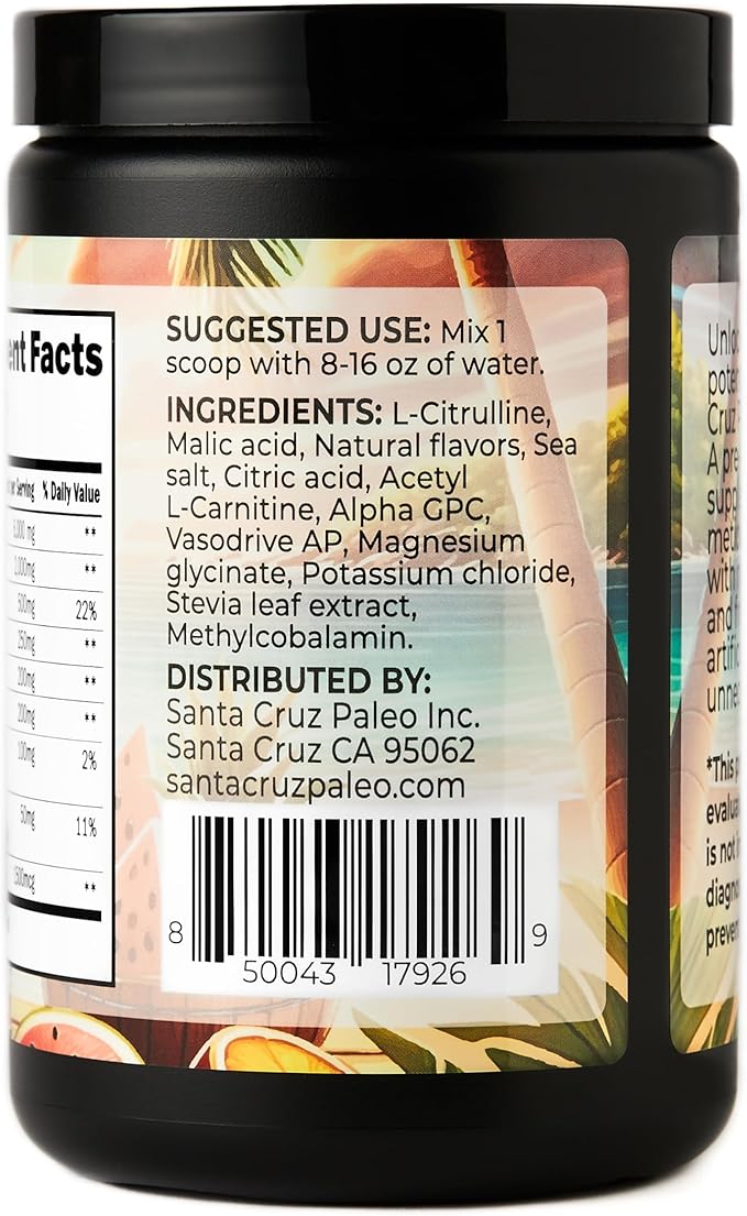 Santa Cruz Paleo Pre Workout Powder Electrolytes Magnesium Potassium Sea Salt &amp L Citrulline Caffeine &amp Sugar Free Preworkout Drink Mix for Energy &amp Hydration Island Punch Flavor 30