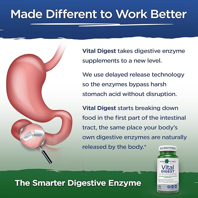 Vital Planet – Vital Digest Natural Digestive Enzymes Supports Breakdown of Proteins Fats and Carbohydrates and Reduces Occasional Gas Bloating and Indigestion 90 Capsules (Packaging May Vary)