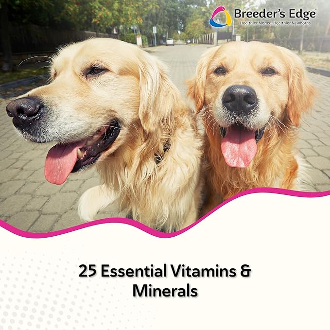 Breeder’s Edge Breed to Wean Prenatal and Postnatal Multivitamin for Dogs &amp Cats Supports Pregnant &amp Nursing Moms Supplement Provides Antioxidants Vitamins &amp Minerals 400ct for Medium