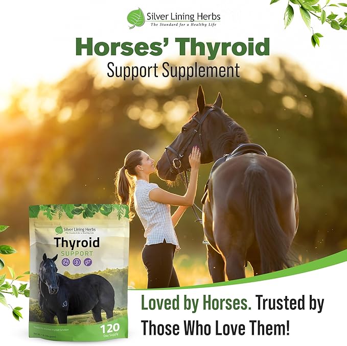 Silver Lining Herbs Thyroid Support for Horses – Herbal Horse Supplement for Normal Thyroid Function Hormone Balance &amp Healthy Metabolism with Irish Moss Kelp Parsley – 120-Day Supply