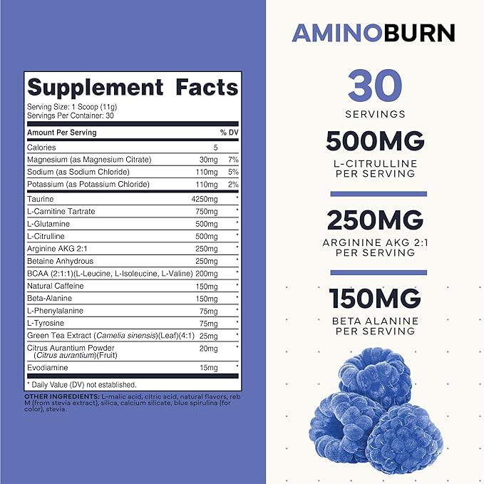 Type Zero Amino Burn - Vegan BCAA + Clean Pre Workout Powder with Arginine AKG L-Citrulline &amp Beta Alanine - Amino Acid Clean Energy Endurance &amp Hydration Supplement - Blue Raspberry 30 Ser