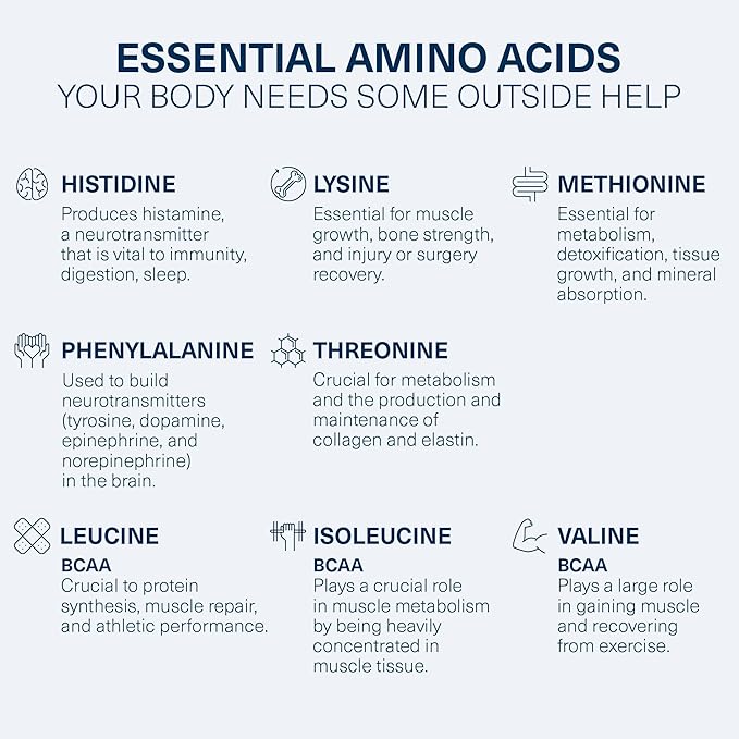 The Amino Co. - Heal - Post Workout Recovery Drink with Pure Eaa Amino Acid Formula - Creatine Monohydrate Powder for Efficient Muscle Repair Vegan and Keto-Friendly with Chocolate Flavor - 13.23oz.