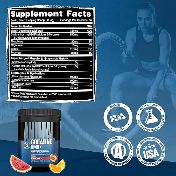 Animal Creatine HMB Powder – 3g myHMB + 5g Creatine with Electrolytes for Recovery &amp Daily Energy – Power Punch Flavor 30 Servings