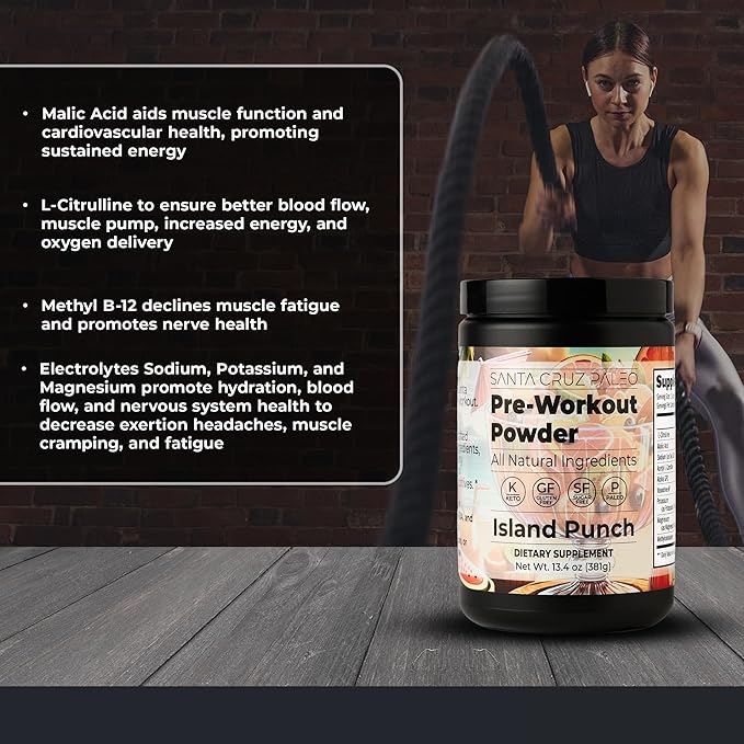 Santa Cruz Paleo Pre Workout Powder Electrolytes Magnesium Potassium Sea Salt &amp L Citrulline Caffeine &amp Sugar Free Preworkout Drink Mix for Energy &amp Hydration Island Punch Flavor 30