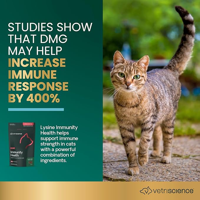 VetriScience Lysine Immunity Health Chews 250 mg Lysine Plus Immune Supplement for Cats and Kittens with Allergies Sneezing Runny Nose and Watery Eyes Chicken 3 Pack