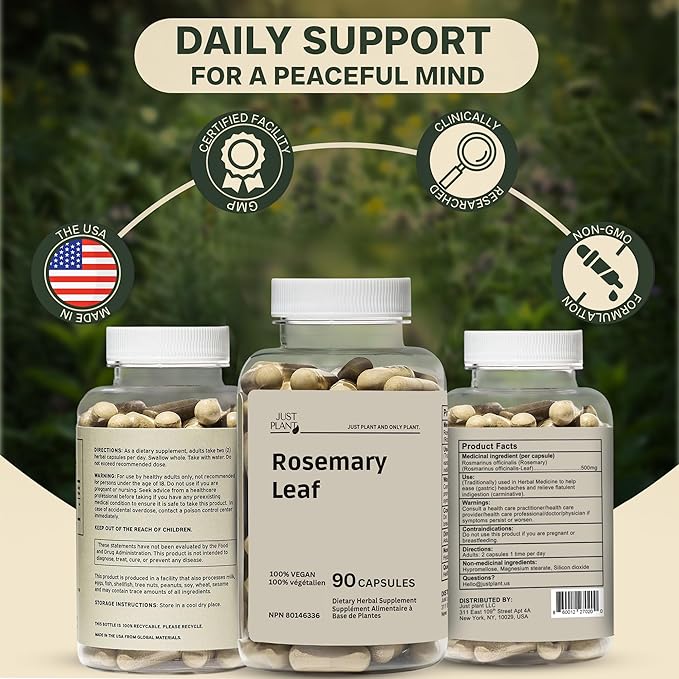 Rosemary Leaf Extract 500mg 90 Vegan Capsules Herbal Supplement for Mind Body &amp Hair Wellness Gluten-Free Plant-Based