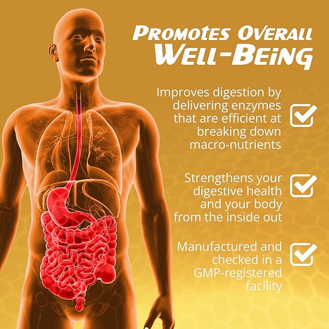 CalmBelly Helps Normalize Digestive Processes Support Active Enzymes Probiotics for Digestive Health Supplements for Women and Men Formula for Overall Wellness 60 Count (Pack of 1)
