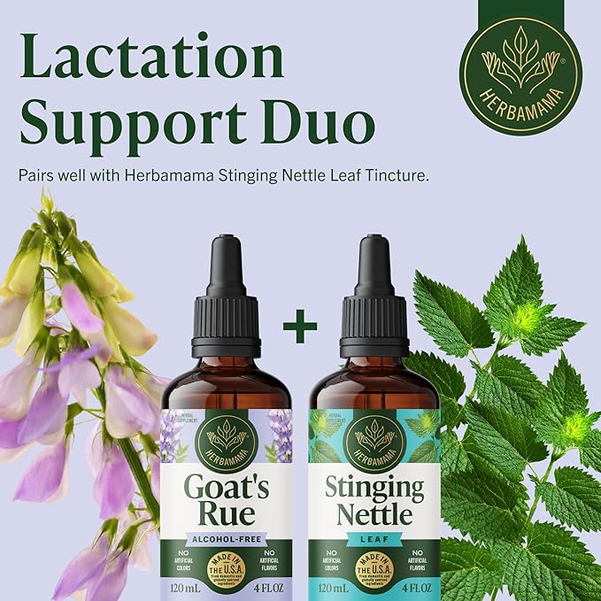 HERBAMAMA Goat's Rue Tincture - Vegan Lactation Support with Galega Officinalis Extract - Breastfeeding Support Drops - Non-GMO Alcohol &amp Sugar-Free Lactation Supplement 56-Day Supply