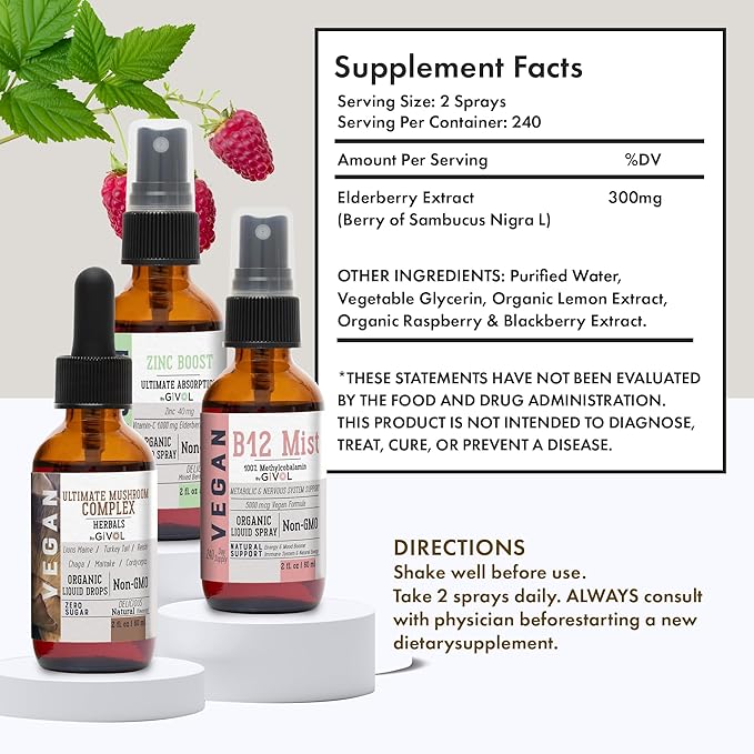 Cognitive Wellness Bundle Liquid Vitamin Trio: Methylcobalamin B12 Lions Mane Reishi Chaga Mushroom Complex &amp Zinc Picolinate: Gluten-Free Sugar-Free Non-GMO - 360 Days Supply