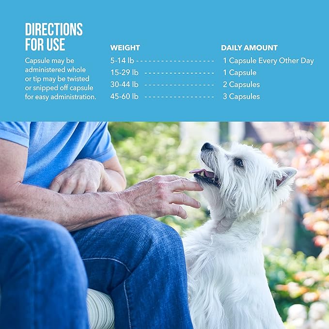 Free Form Snip Tips Omega-3 Fish Oil Liquid Supplement for Small Dogs and Cats 60 Count (Pack of 2)